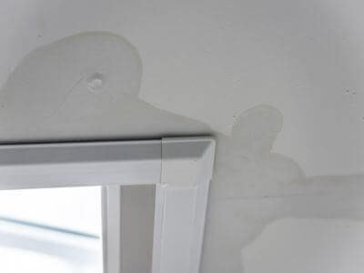About Issaquah Mold Specialist - mold removal experts in Issaquah, WA
